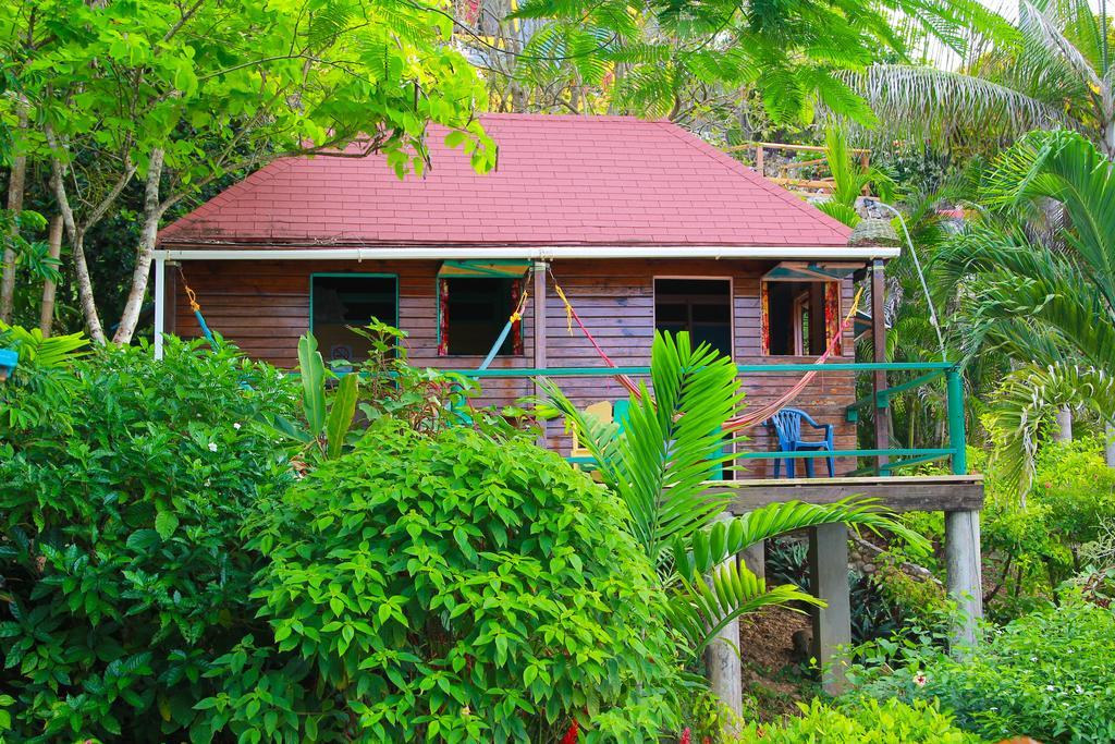 Bed and Breakfast Zion Country Manchioneal Pokoj fotografie